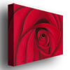 Rio Red Rose Canvas Art 18 x 24 Image 2