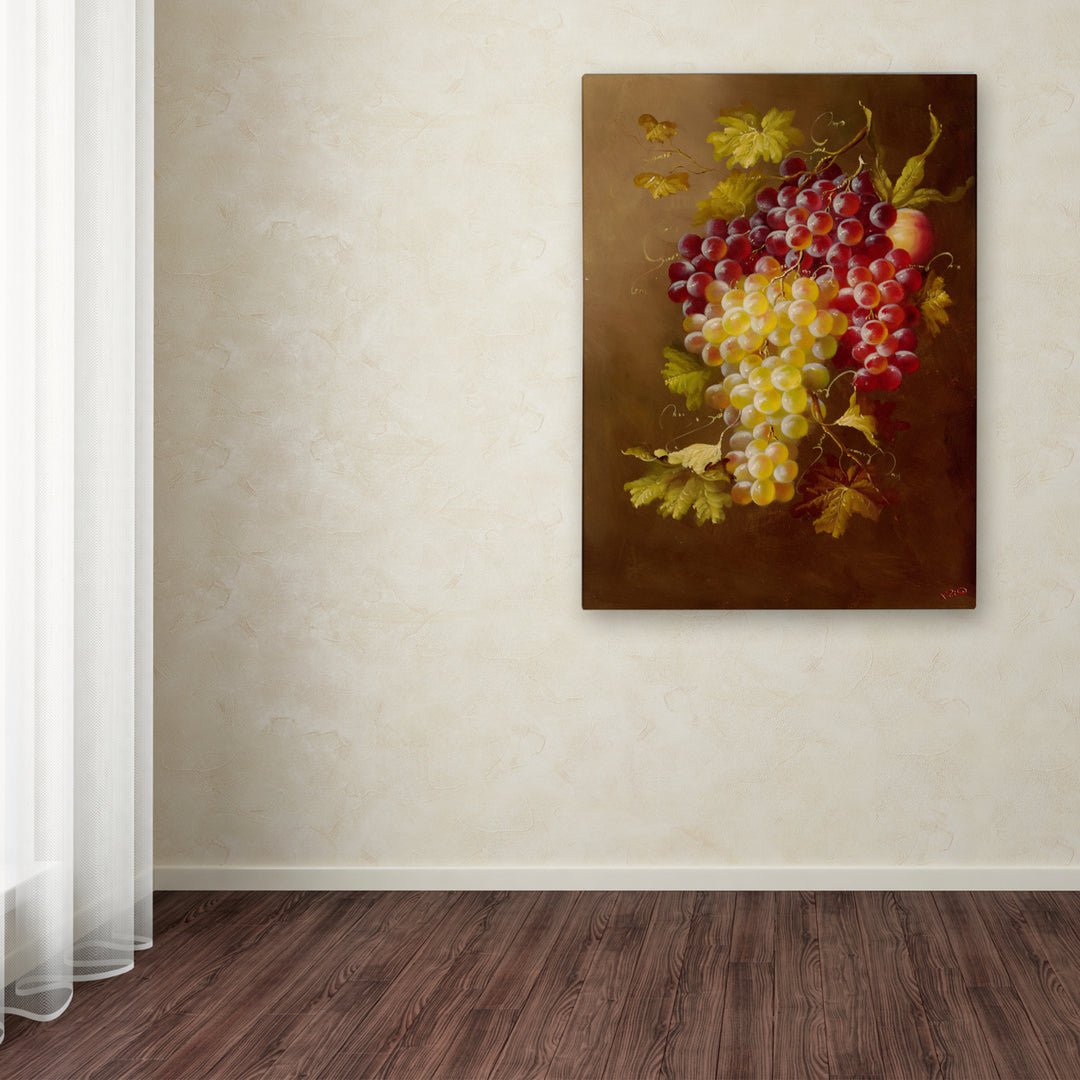 Rio Still Life with Grapes Canvas Art 18 x 24 Image 3