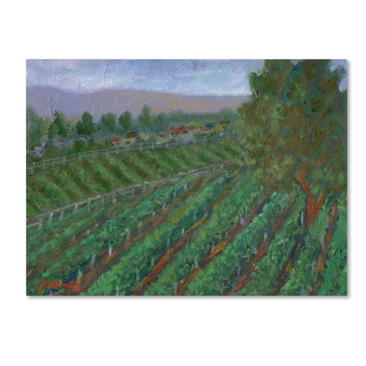 Manor Shadian Sonoma Valley Canvas Art 18 x 24 Image 1