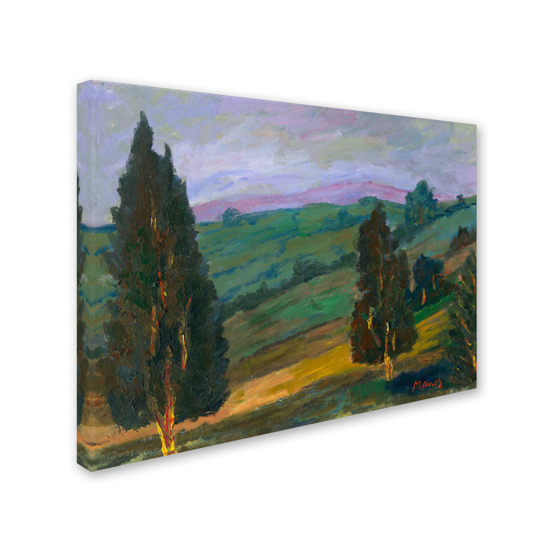 Manor Shadian Evergreens on a Green Slope Canvas Art 18 x 24 Image 2