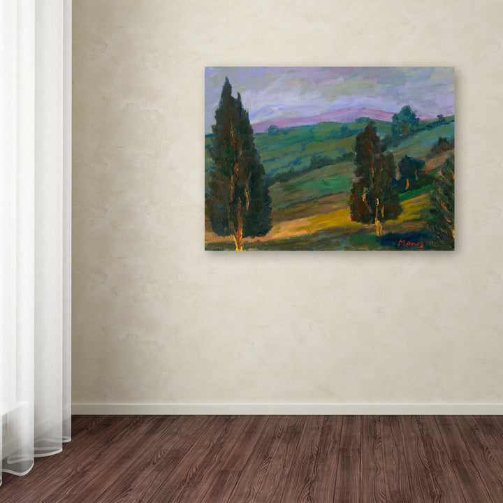Manor Shadian Evergreens on a Green Slope Canvas Art 18 x 24 Image 3