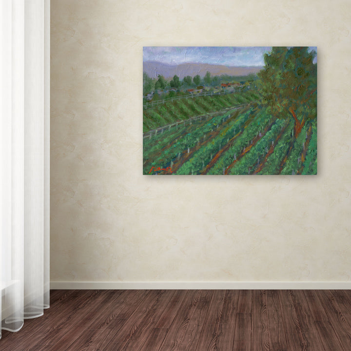 Manor Shadian Sonoma Valley Canvas Art 18 x 24 Image 3