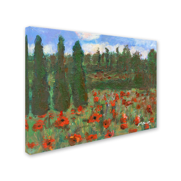 Manor Shadian Red Poppies in the Wood Canvas Art 18 x 24 Image 2