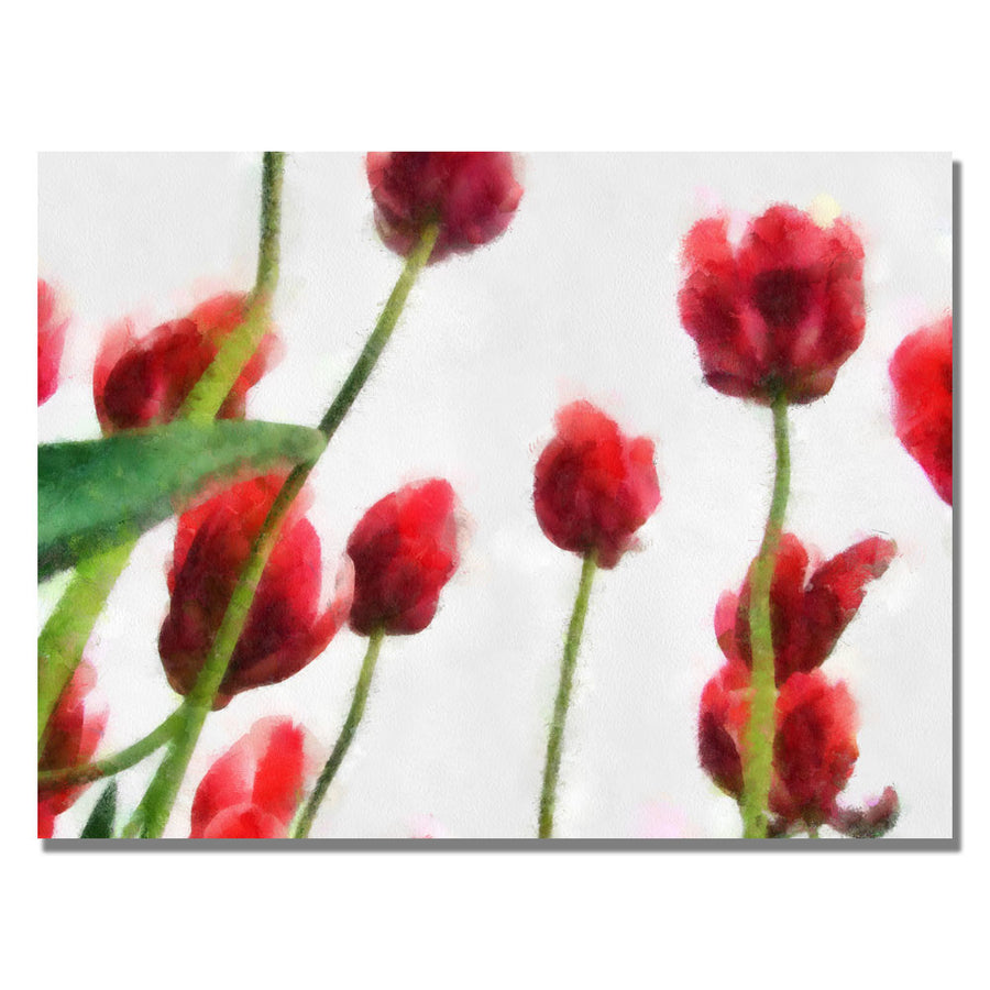 Michelle Calkins Red Tulips from Bottom Up II Canvas Art 18 x 24 Image 1
