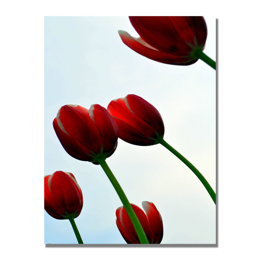 Michelle Calkins Red Tulips from the Bottom Up Canvas Art 18 x 24 Image 1