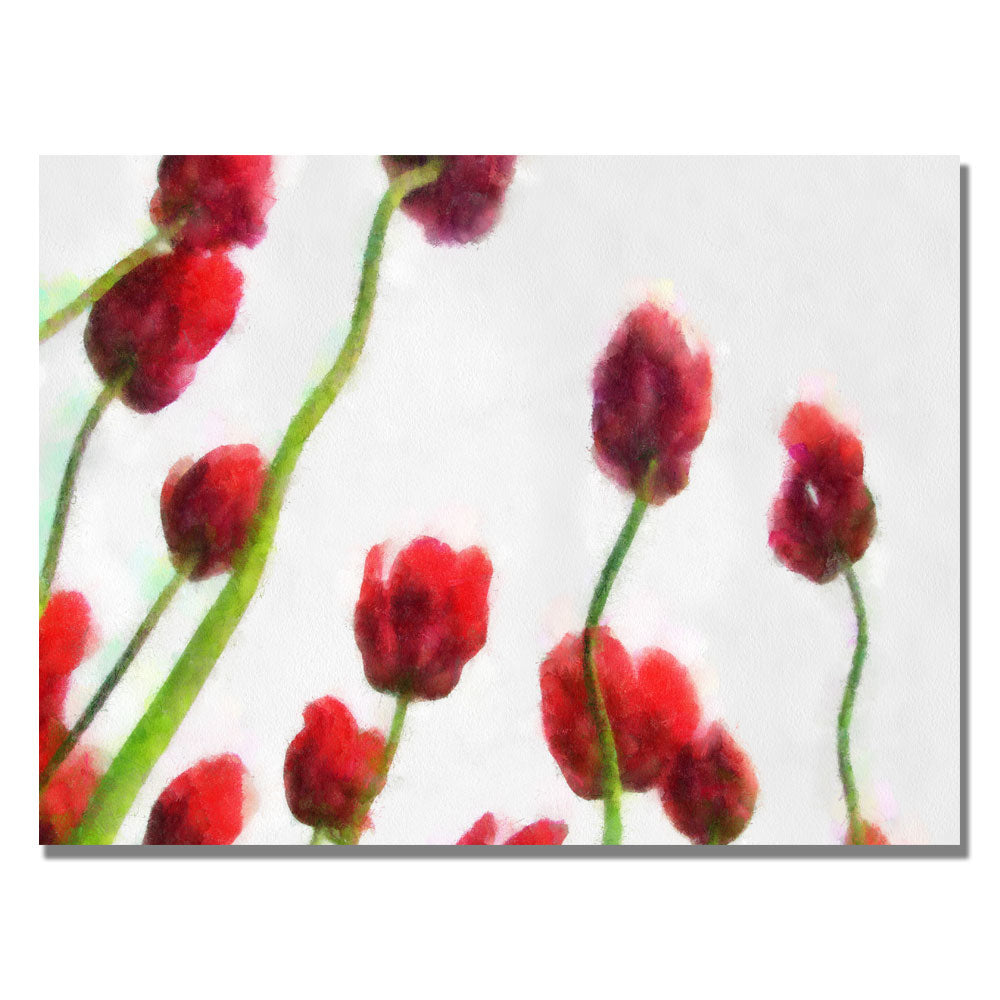 Michelle Calkins Red Tulips from Bottom Up IV Canvas Art 18 x 24 Image 1