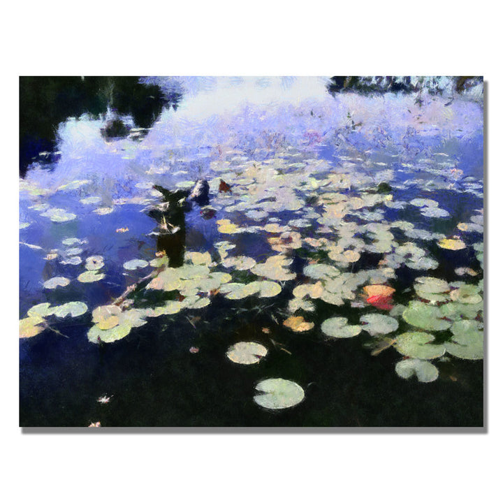 Michelle Calkins Water Lilies in the River II Canvas Art 18 x 24 Image 1