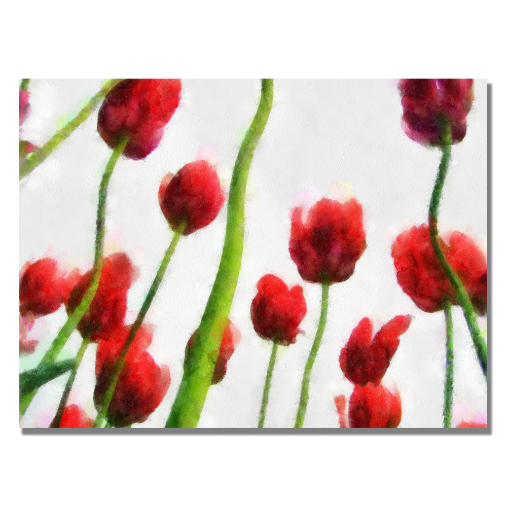 Michelle Calkins Red Tulips from Bottom Up III Canvas Art 18 x 24 Image 1