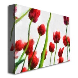 Michelle Calkins Red Tulips from Bottom Up III Canvas Art 18 x 24 Image 3