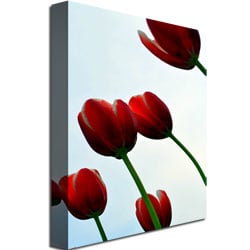 Michelle Calkins Red Tulips from the Bottom Up Canvas Art 18 x 24 Image 3