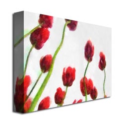 Michelle Calkins Red Tulips from Bottom Up IV Canvas Art 18 x 24 Image 3