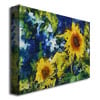 Michelle Calkins Sunflowers Canvas Art 18 x 24 Image 2