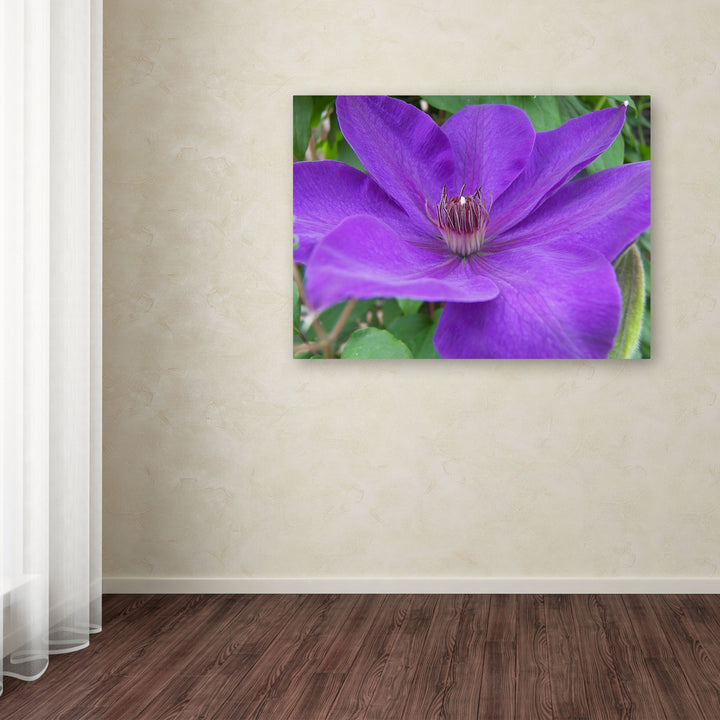Monica Fleet Purple Flower Canvas Art 18 x 24 Image 3