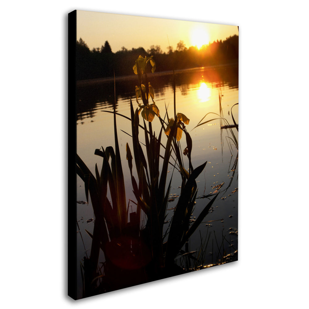 Monica Fleet Reflective Strength Canvas Art 18 x 24 Image 2