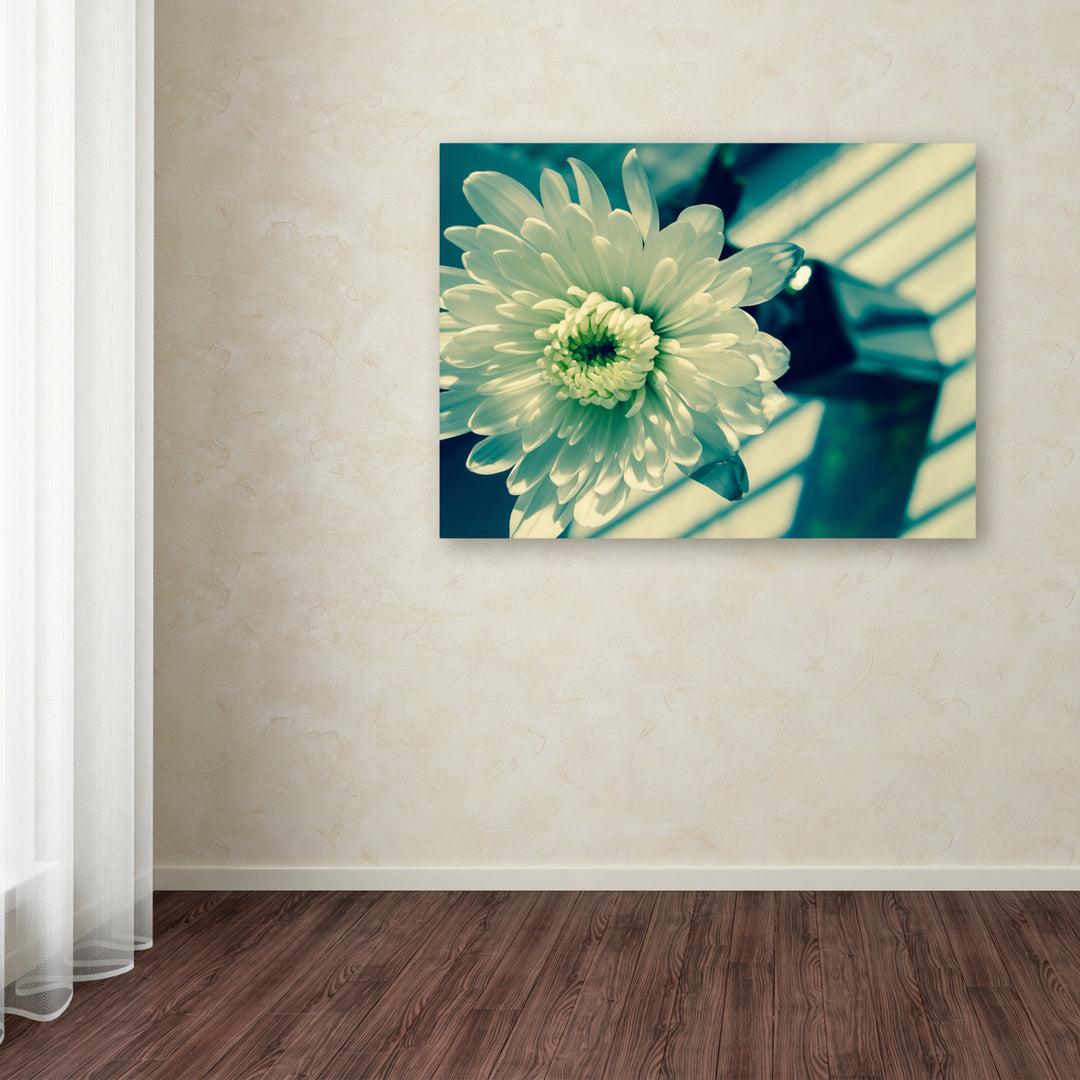 PIPA Fine Art Melancholy Flower Canvas Art 18 x 24 Image 3