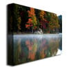 MCat Old Autumn Canvas Art 18 x 24 Image 2