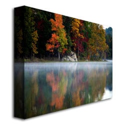 MCat Old Autumn Canvas Art 18 x 24 Image 3