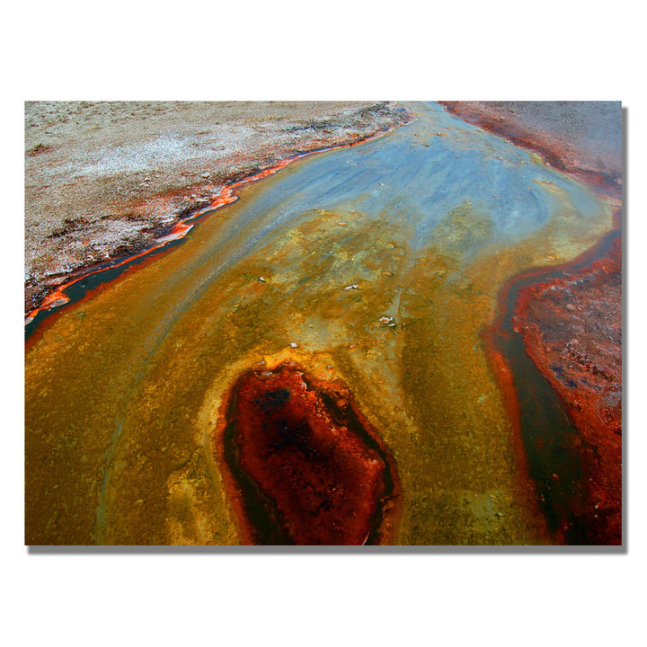 Nicole Dietz Yellowstone Rusty Geyser Canvas Art 18 x 24 Image 1