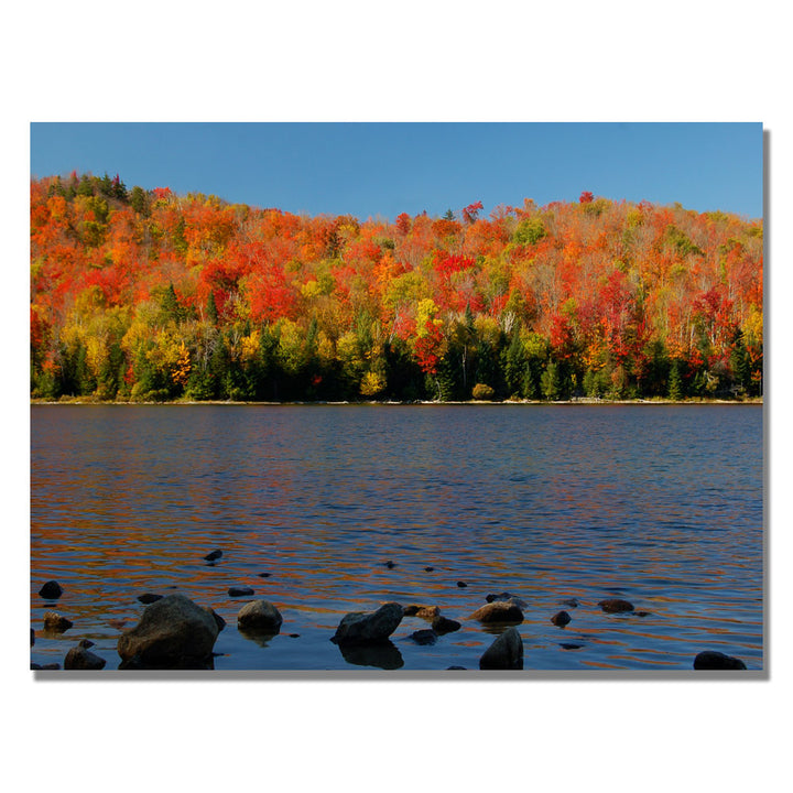 Nicole Dietz The Adirondack Heart Lake Canvas Art 18 x 24 Image 1