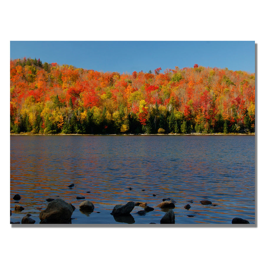 Nicole Dietz The Adirondack Heart Lake Canvas Art 18 x 24 Image 1