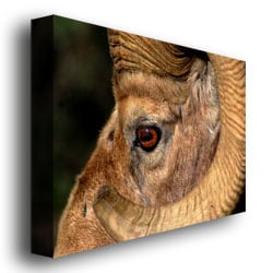 Nicole Dietz Yellowstone Big Horn Canvas Art 18 x 24 Image 3