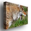 Nicole Dietz Yellowstone Coyote Canvas Art 18 x 24 Image 2