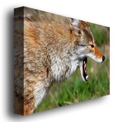 Nicole Dietz Yellowstone Coyote Canvas Art 18 x 24 Image 3