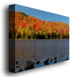 Nicole Dietz The Adirondack Heart Lake Canvas Art 18 x 24 Image 3