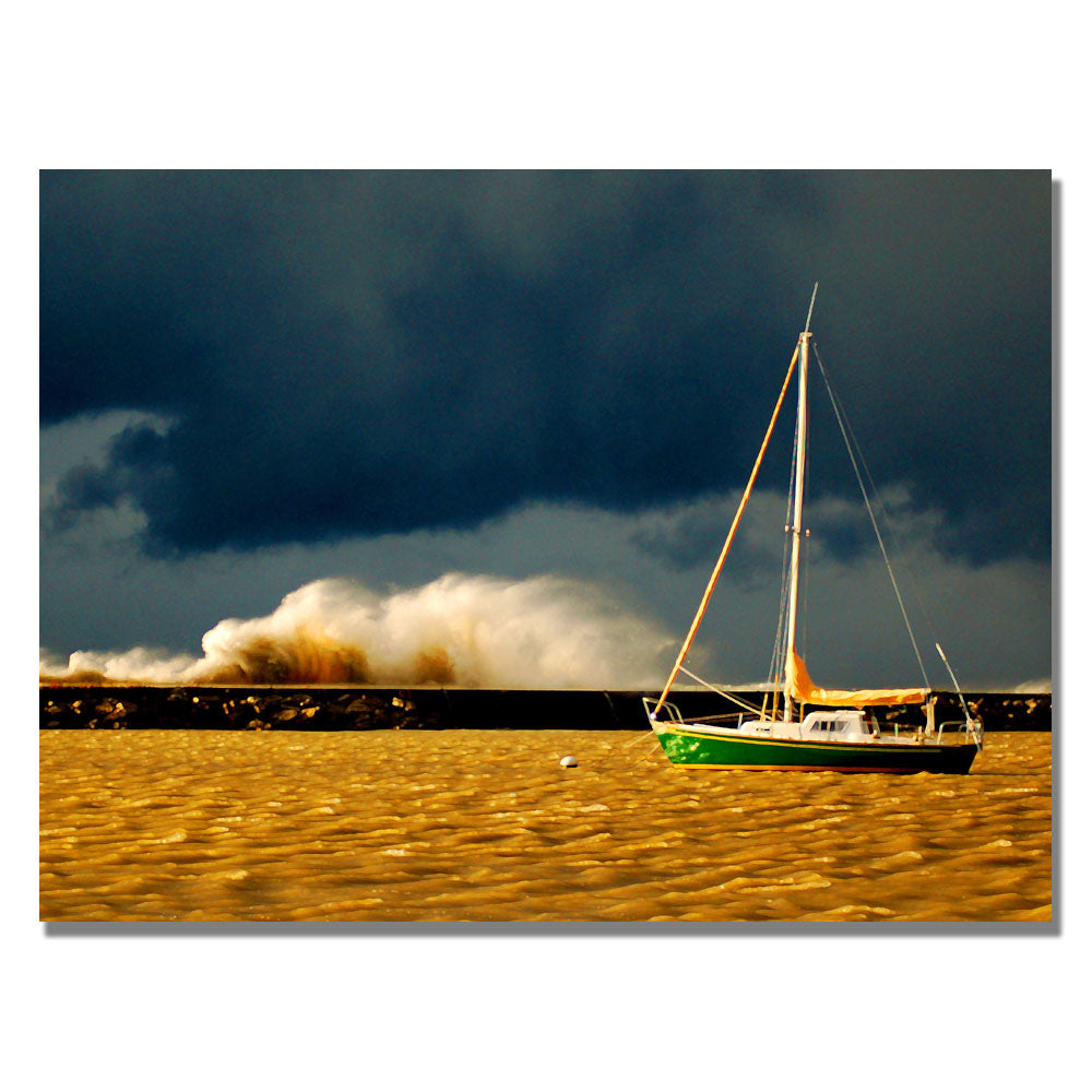 Nicole Dietz Lake Erie Storm Canvas Art 18 x 24 Image 1