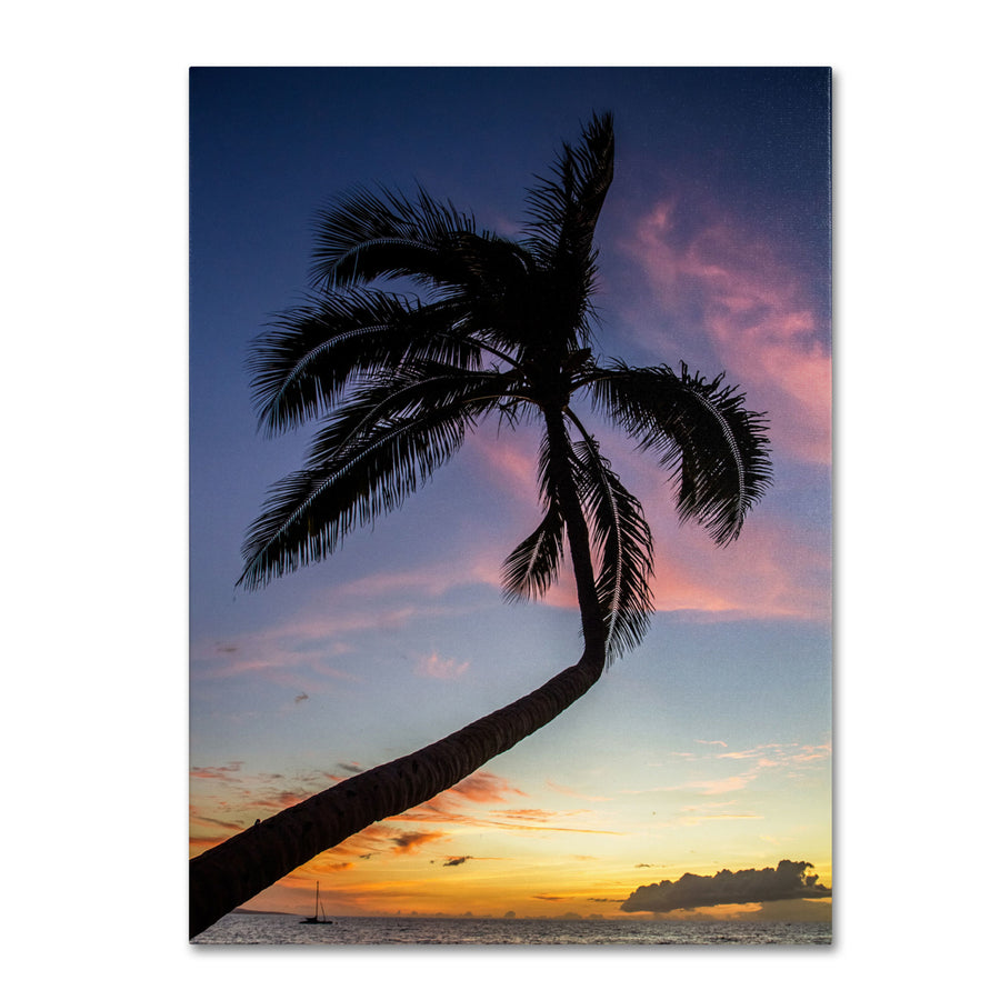 Pierre Leclerc Sunset Palm Canvas Art 18 x 24 Image 1