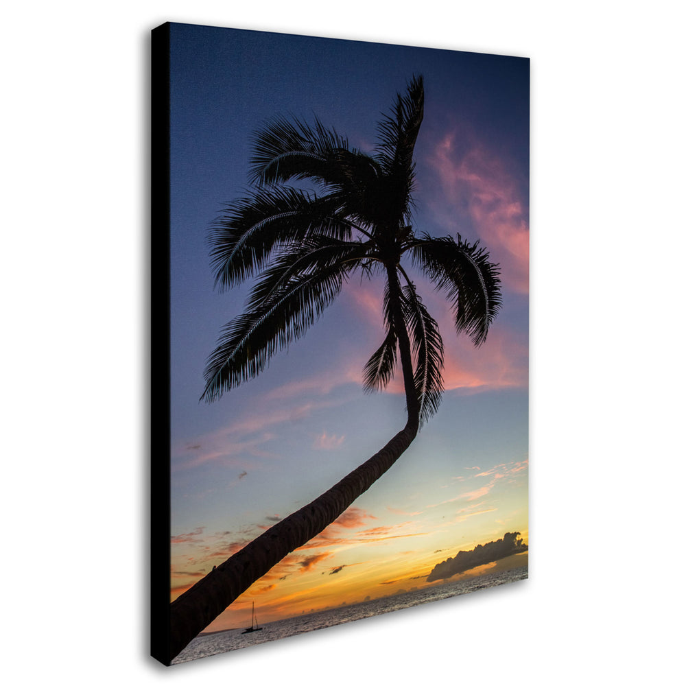 Pierre Leclerc Sunset Palm Canvas Art 18 x 24 Image 2