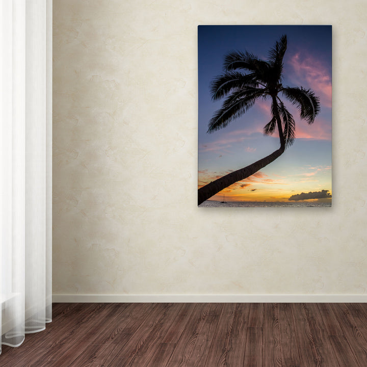 Pierre Leclerc Sunset Palm Canvas Art 18 x 24 Image 3