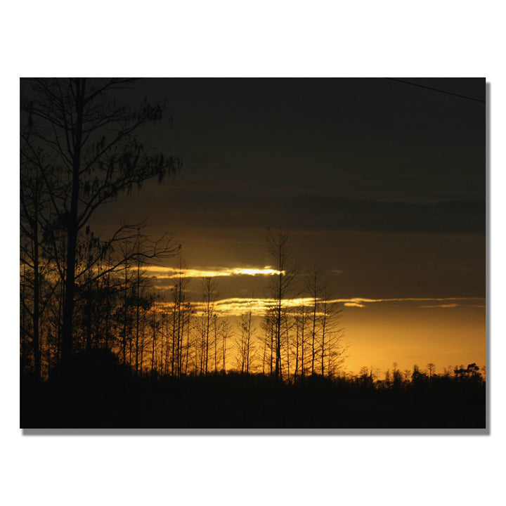 Patty Tuggle Trees at Dusk Canvas Art 18 x 24 Image 1