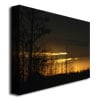 Patty Tuggle Trees at Dusk Canvas Art 18 x 24 Image 2