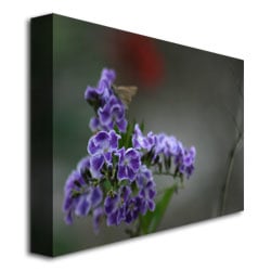 Patty Tuggle Purple Flowers and Moth Canvas Art 18 x 24 Image 3