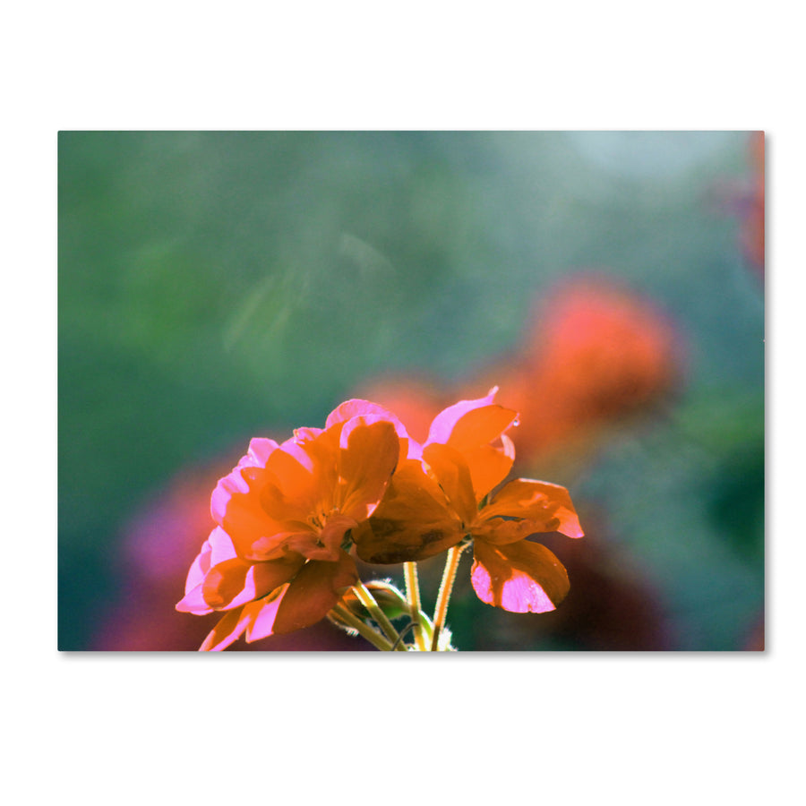 Patty Tuggle Flowers and Sun Canvas Art 18 x 24 Image 1