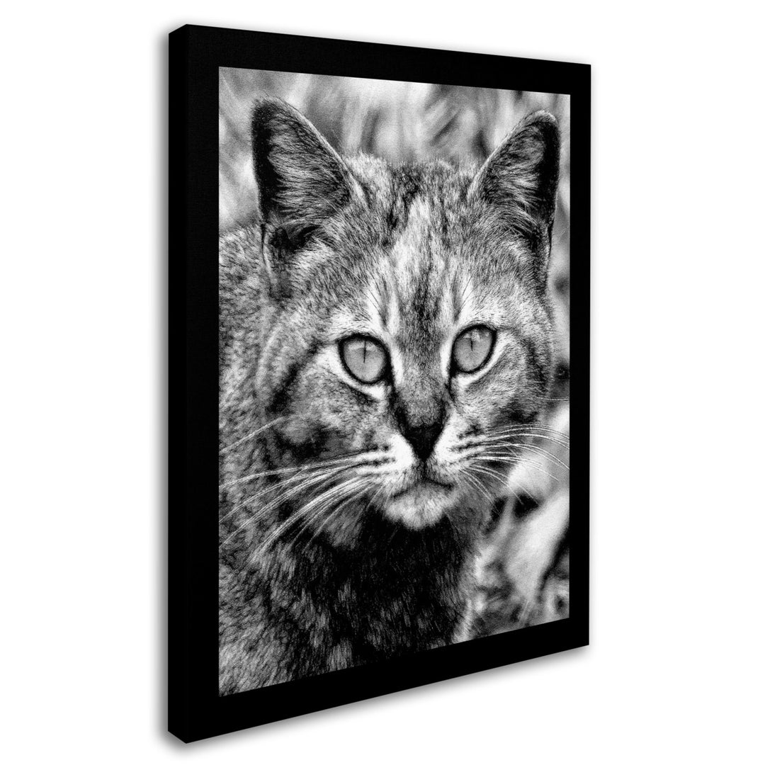 Patty Tuggle Black and White Pretty Kitty Canvas Art 18 x 24 Image 2