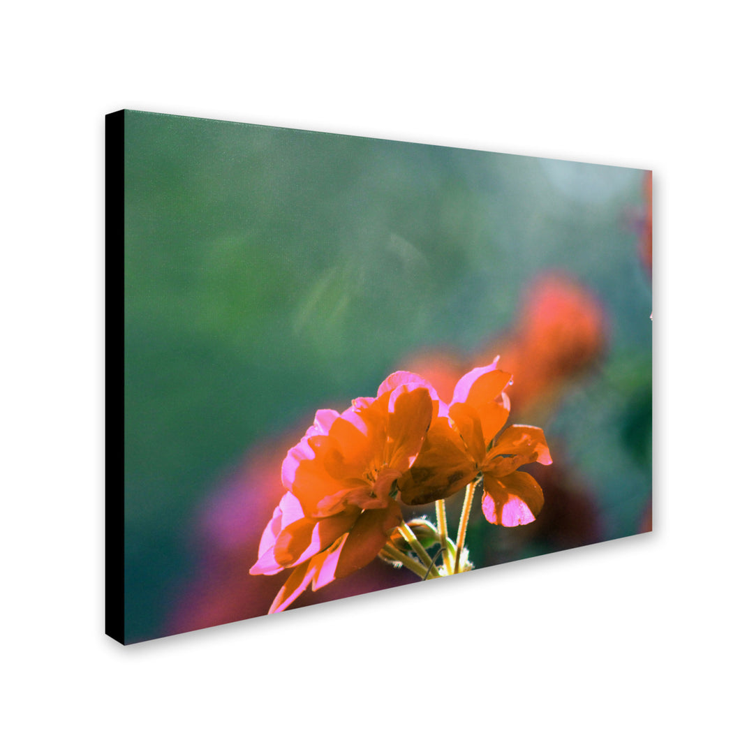 Patty Tuggle Flowers and Sun Canvas Art 18 x 24 Image 2