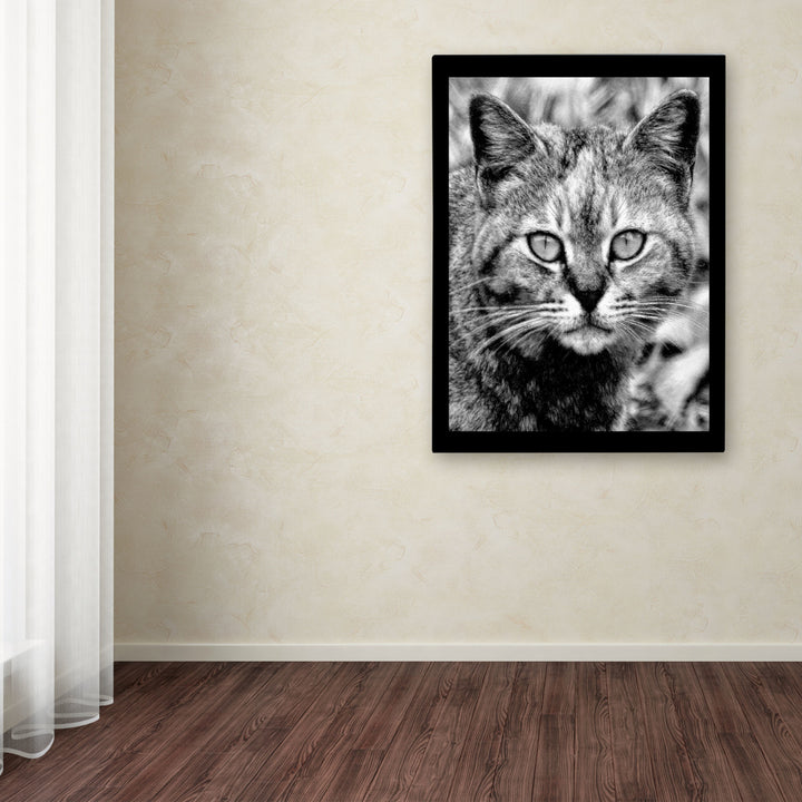 Patty Tuggle Black and White Pretty Kitty Canvas Art 18 x 24 Image 3