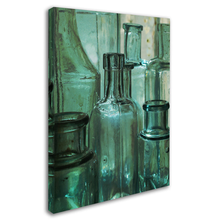 Patty Tuggle Antique Bottles Canvas Art 18 x 24 Image 2