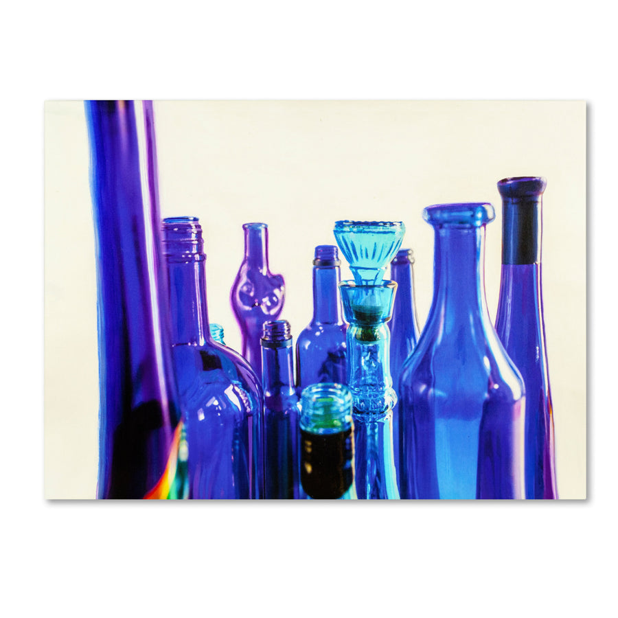 Roderick Stevens Blue Bottle Tops Canvas Art 18 x 24 Image 1