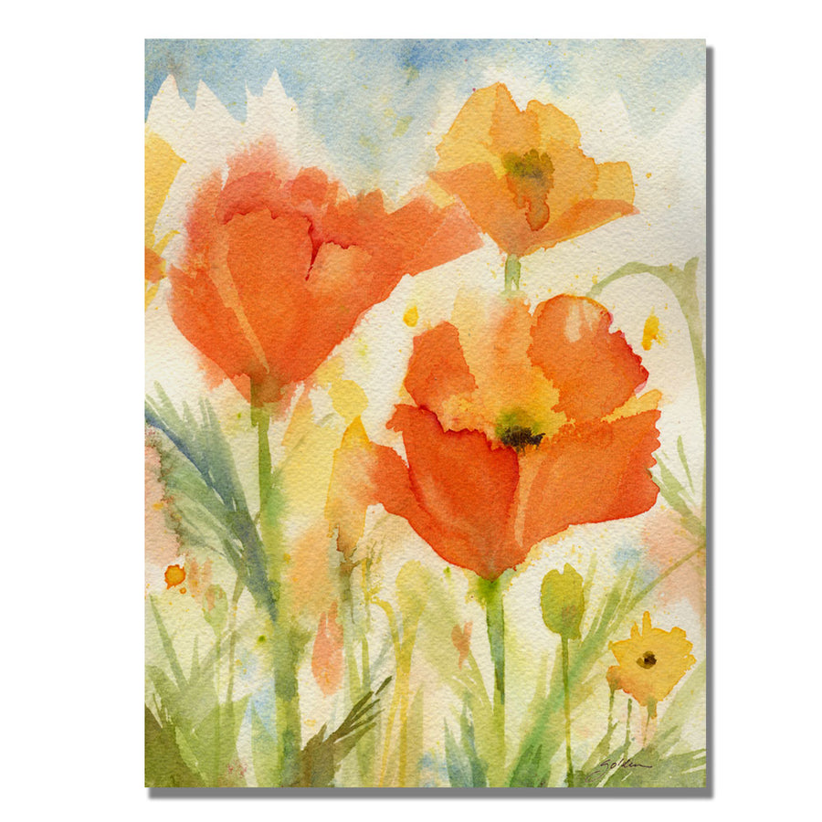 Shelia Golden Field of Poppies Canvas Art 18 x 24 Image 1