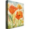 Shelia Golden Field of Poppies Canvas Art 18 x 24 Image 2