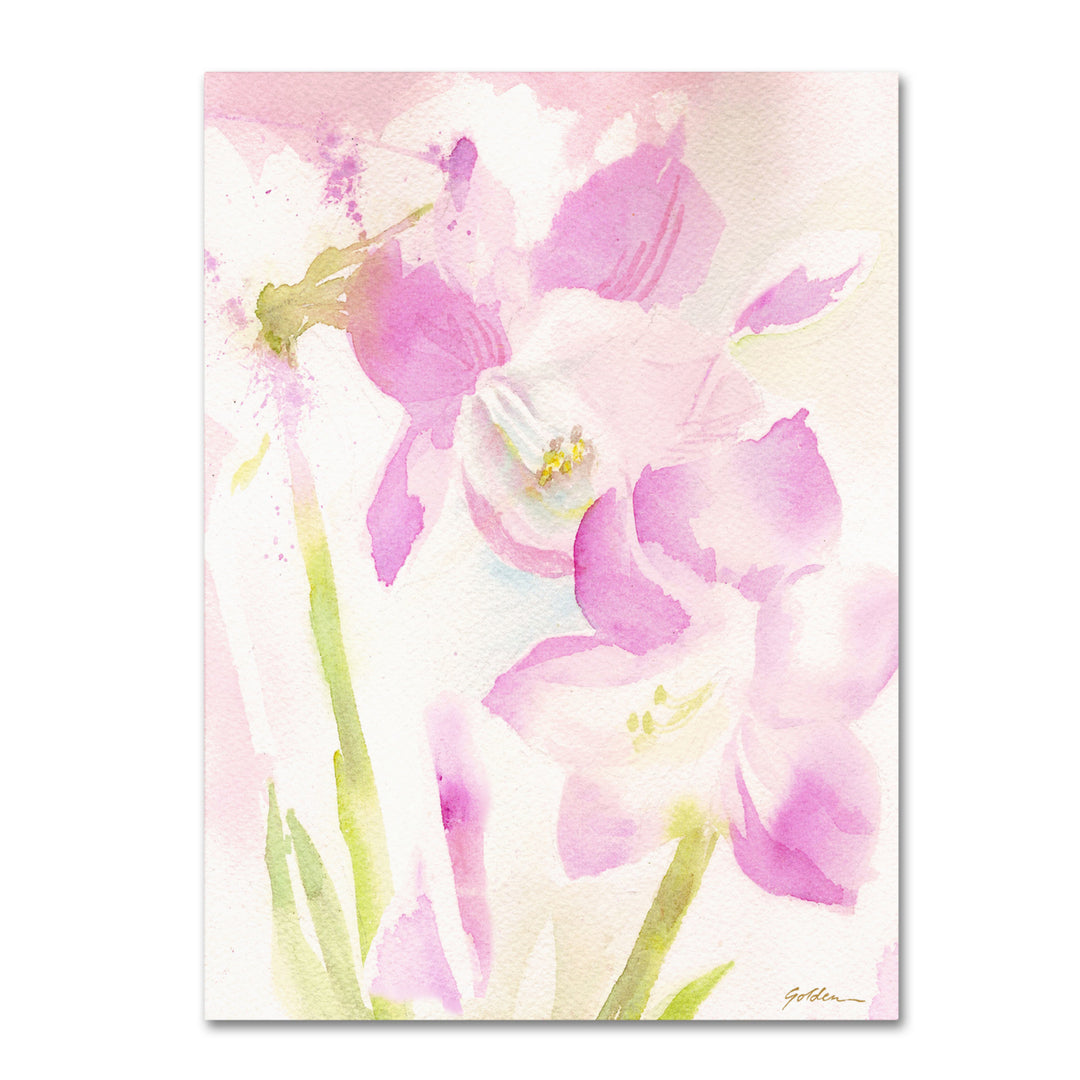 Sheila Golden Amaryllis Blossoming Canvas Art 18 x 24 Image 1