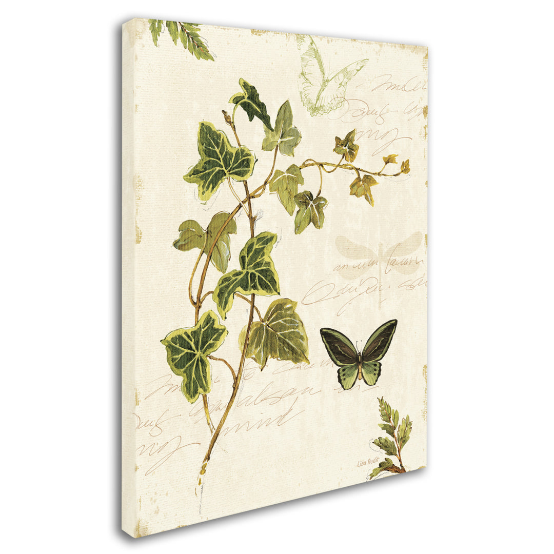 Lisa Audit Ivies and Ferns IV Canvas Art 18 x 24 Image 2