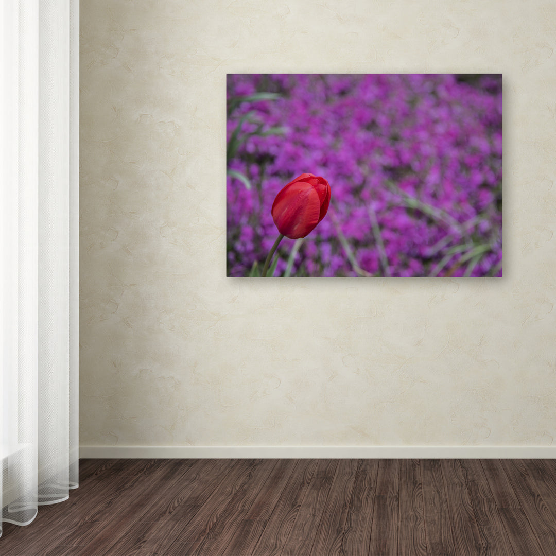 Kurt Shaffer Images of Spring 14 x 19 Canvas Art Image 3