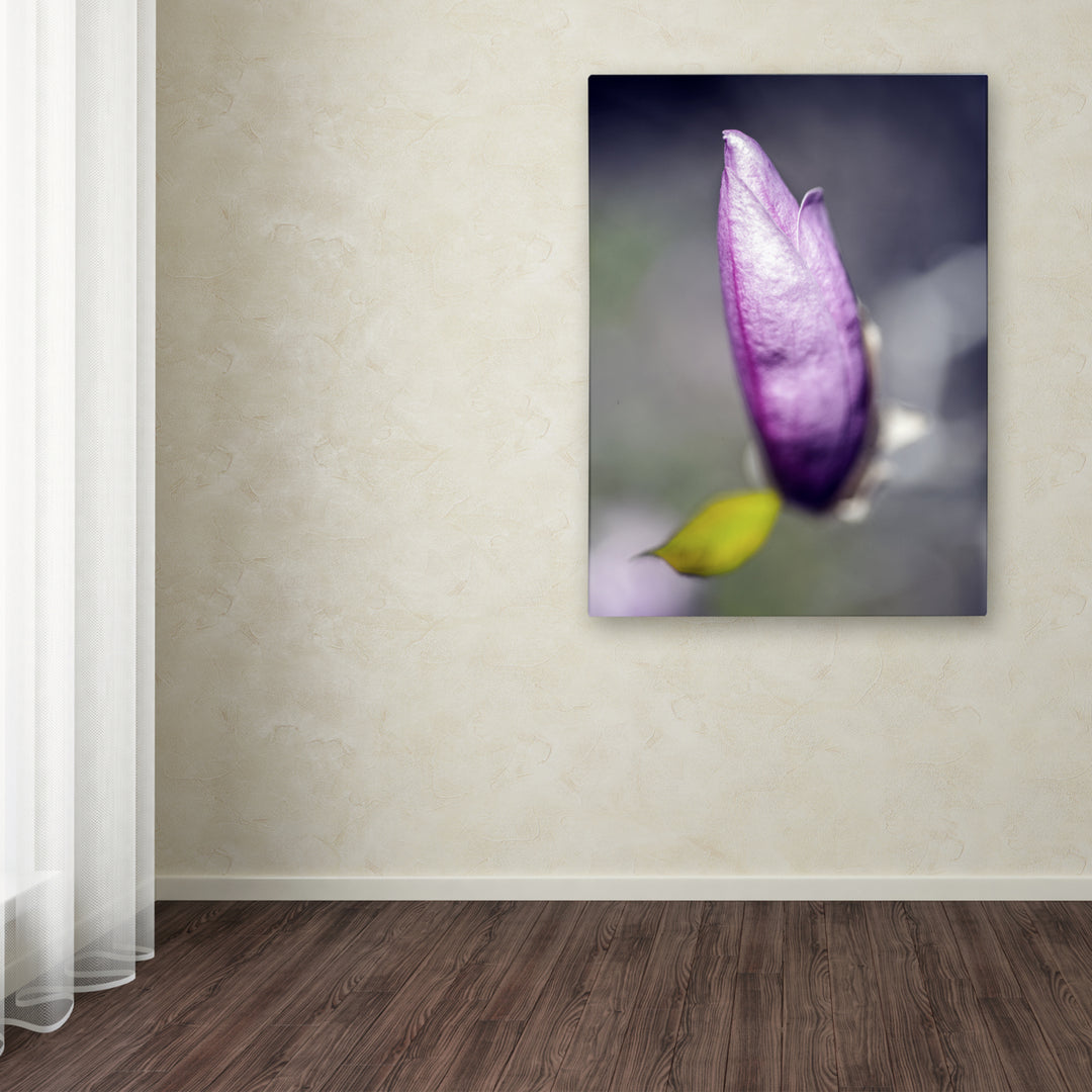 Kurt Shaffer Magnolia Flower Bud 14 x 19 Canvas Art Image 3