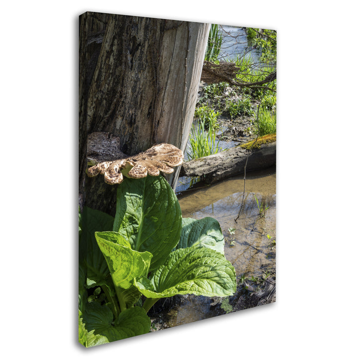 Kurt Shaffer Wetland Scene 14 x 19 Canvas Art Image 2