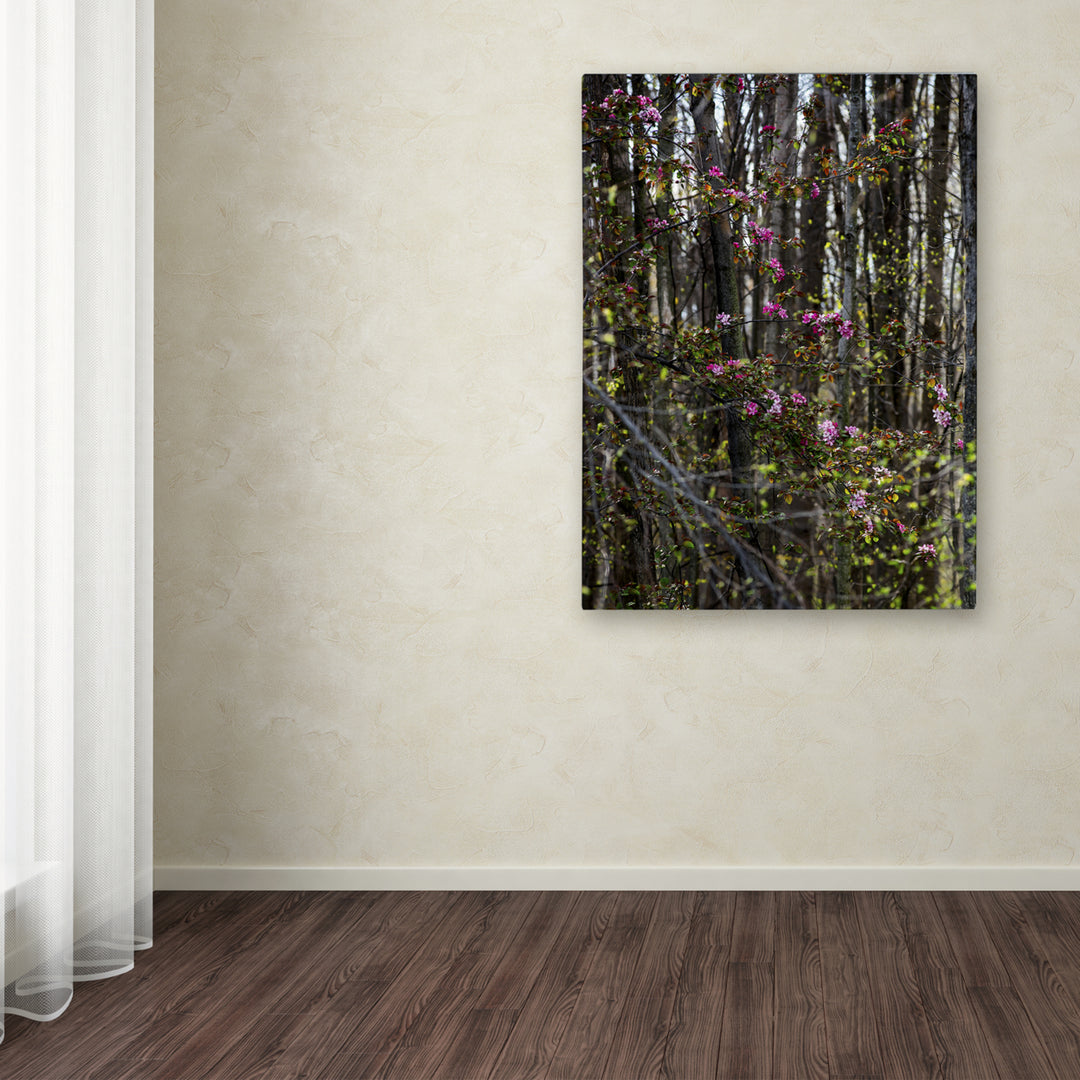 Kurt Shaffer Springtime in the Forest 14 x 19 Canvas Art Image 3