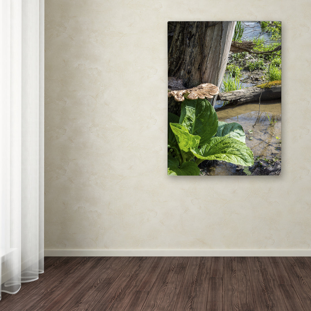 Kurt Shaffer Wetland Scene 14 x 19 Canvas Art Image 3